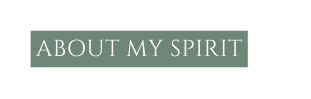 ABOUT MY SPIRIT